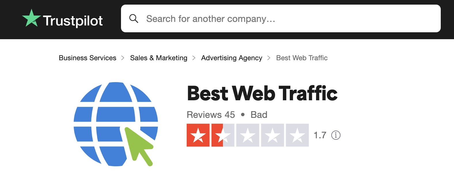 BestWeb-Traffic Review 1