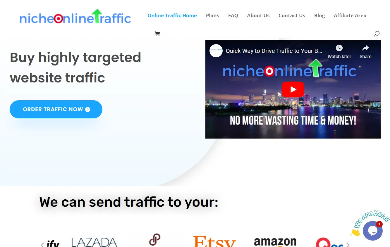 Niche Online Traffic landing page.